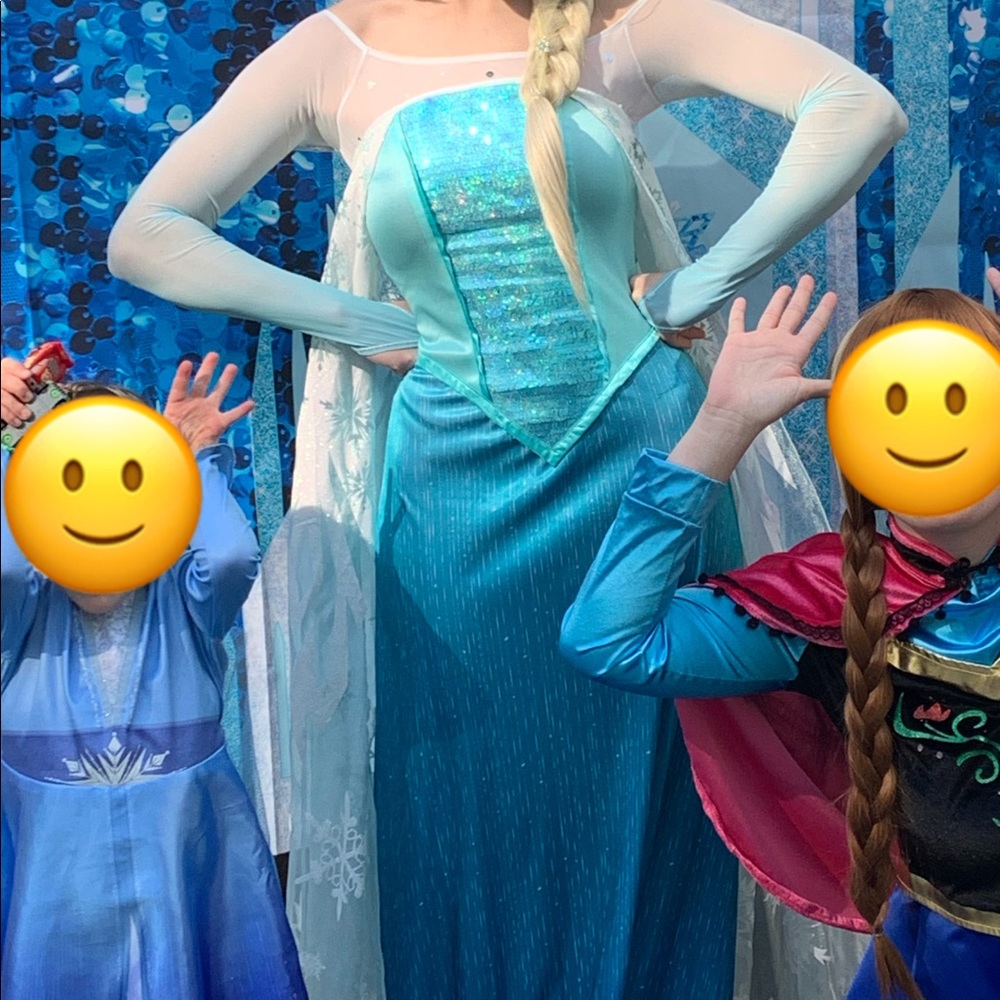 Elsa Costume Dress